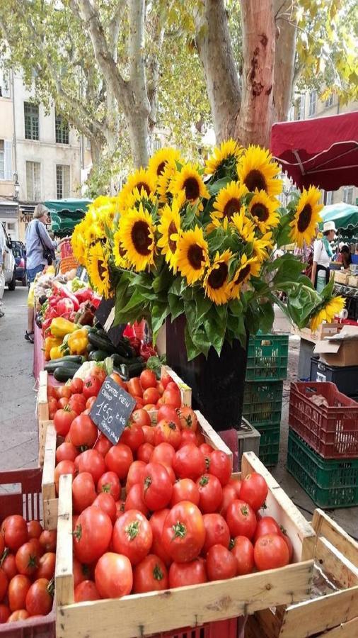Sunny Apartment With Nice View In History City Center Aix-en-Provence Zewnętrze zdjęcie